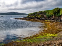Co. Galway